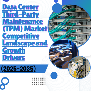 Data Center Third-Party Maintenance (TPM) Market Competitive Landscape and Growth Drivers (2025-2035)